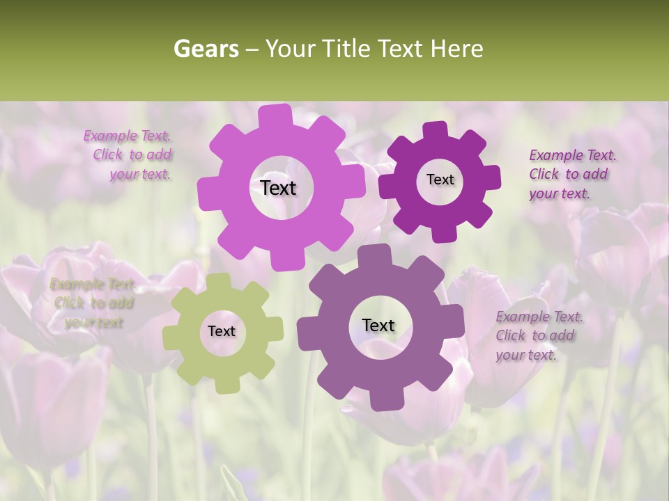 Flower Field Park PowerPoint Template