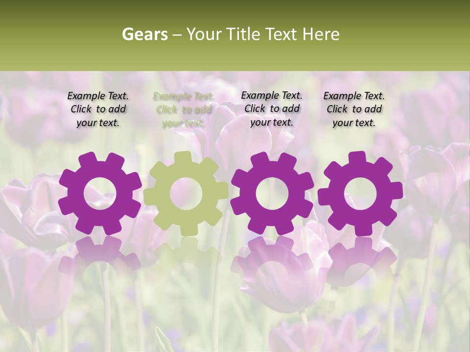 Flower Field Park PowerPoint Template