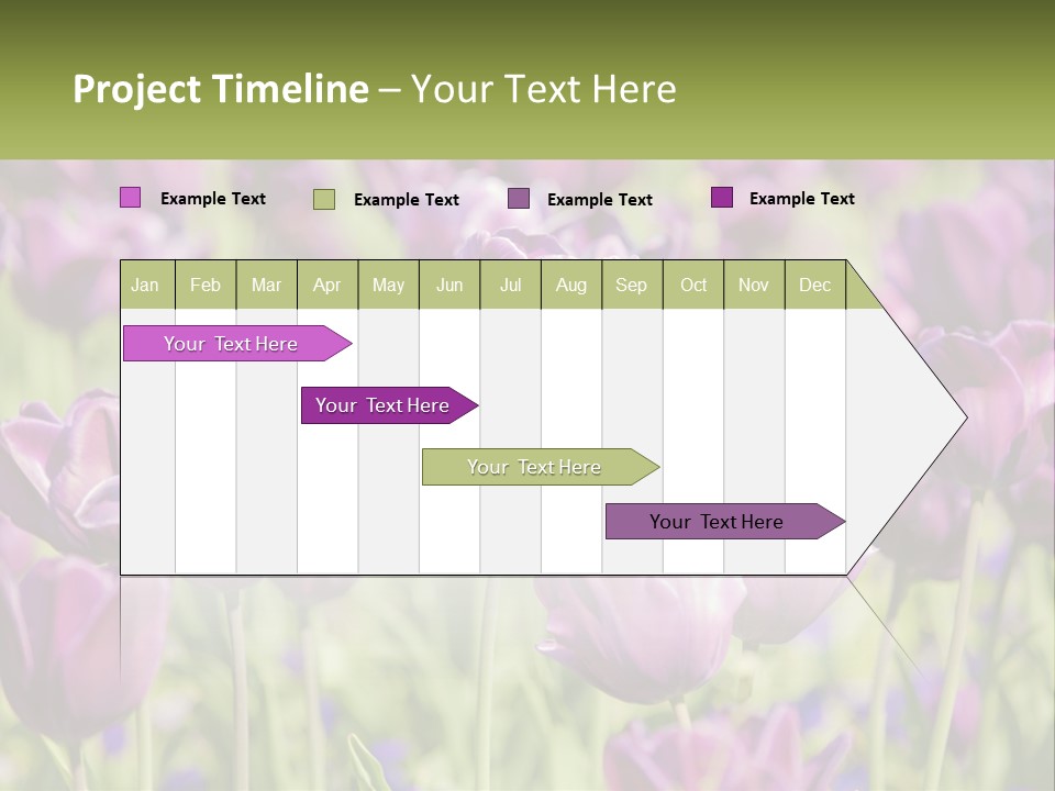 Flower Field Park PowerPoint Template