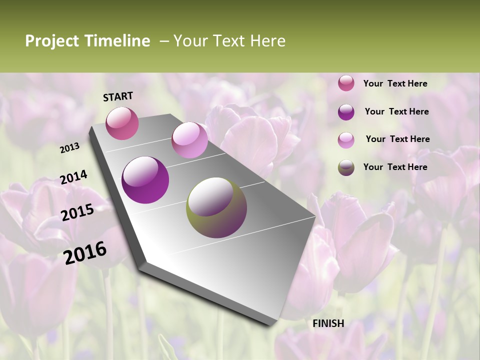Flower Field Park PowerPoint Template