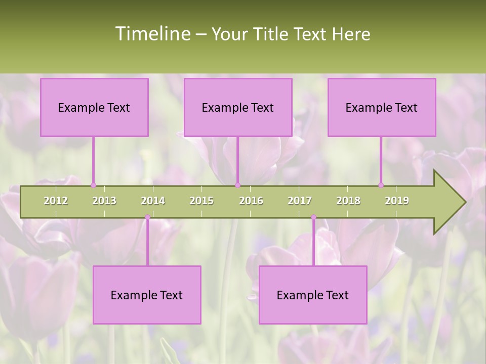 Flower Field Park PowerPoint Template