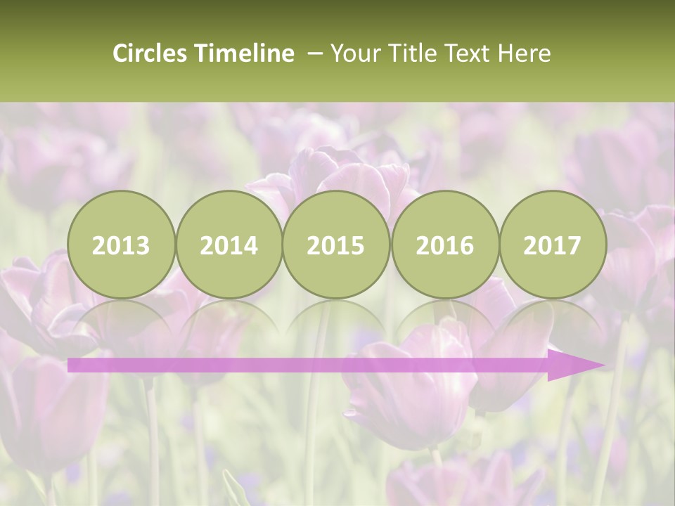 Flower Field Park PowerPoint Template