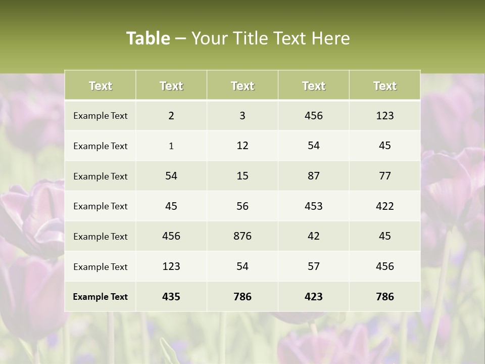 Flower Field Park PowerPoint Template