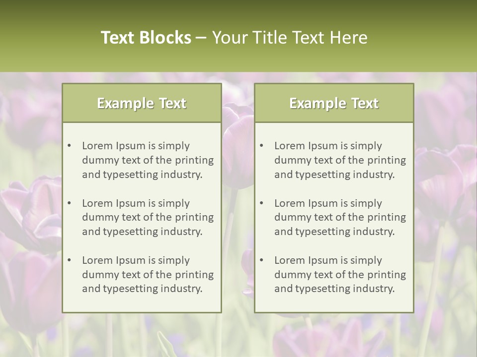 Flower Field Park PowerPoint Template