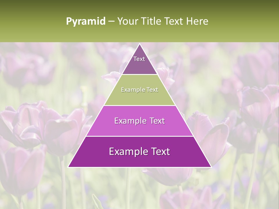 Flower Field Park PowerPoint Template