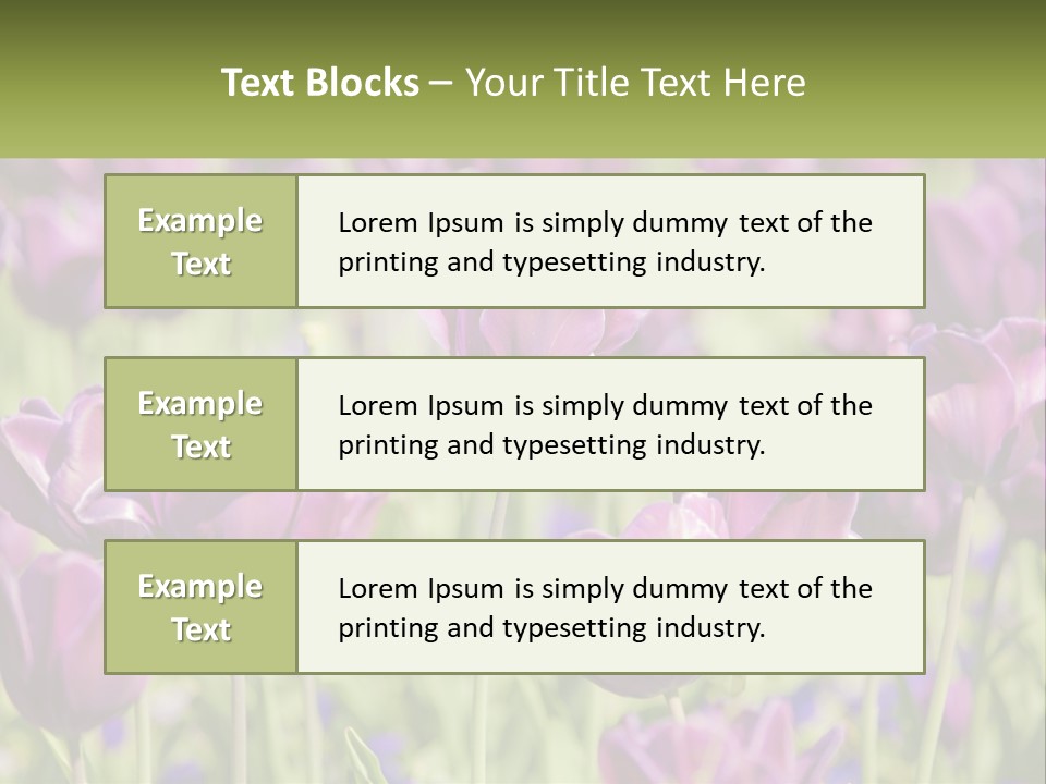 Flower Field Park PowerPoint Template