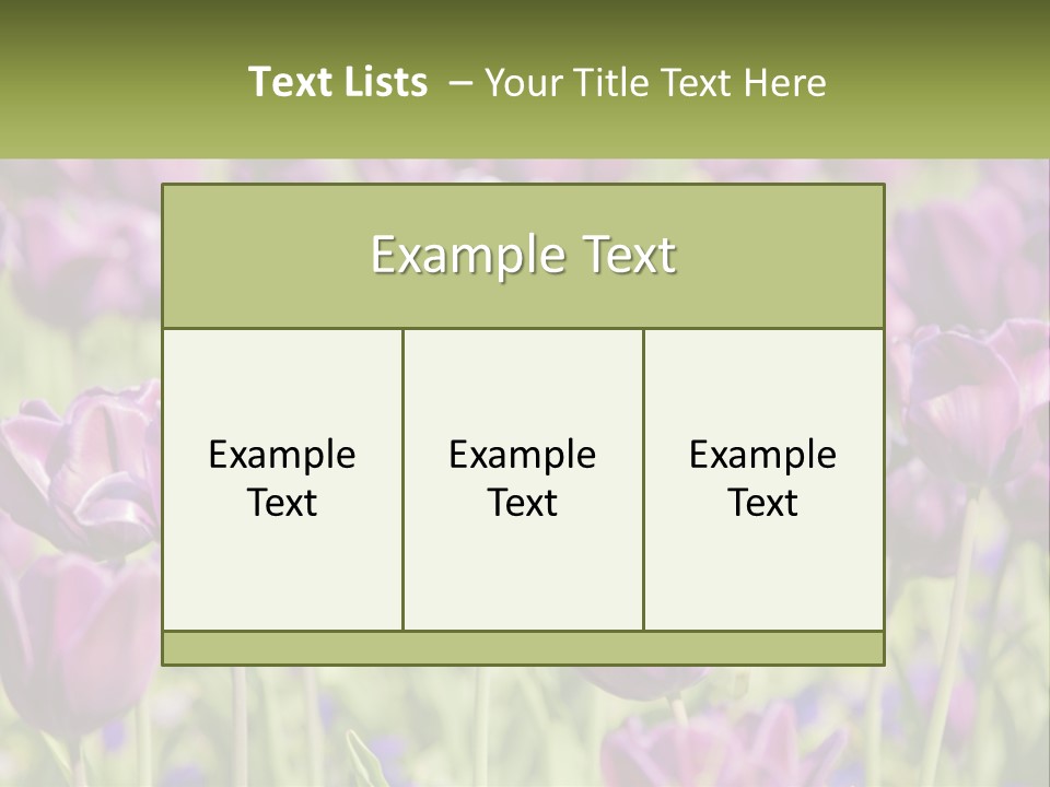 Flower Field Park PowerPoint Template
