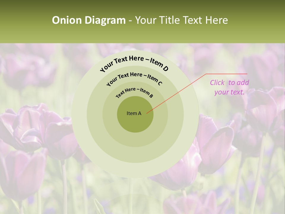 Flower Field Park PowerPoint Template