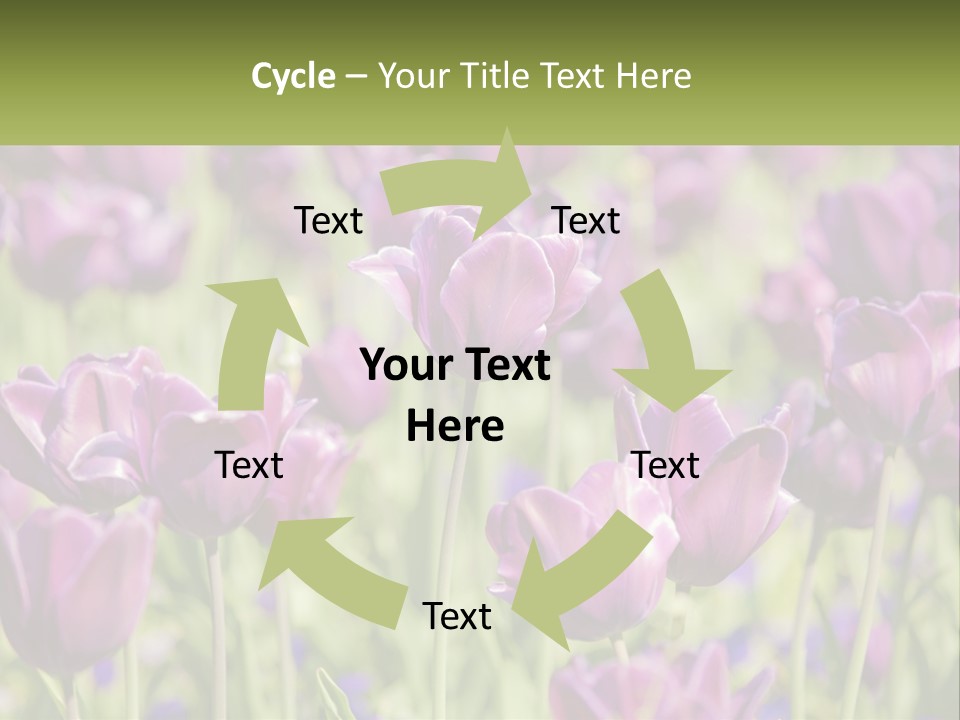 Flower Field Park PowerPoint Template