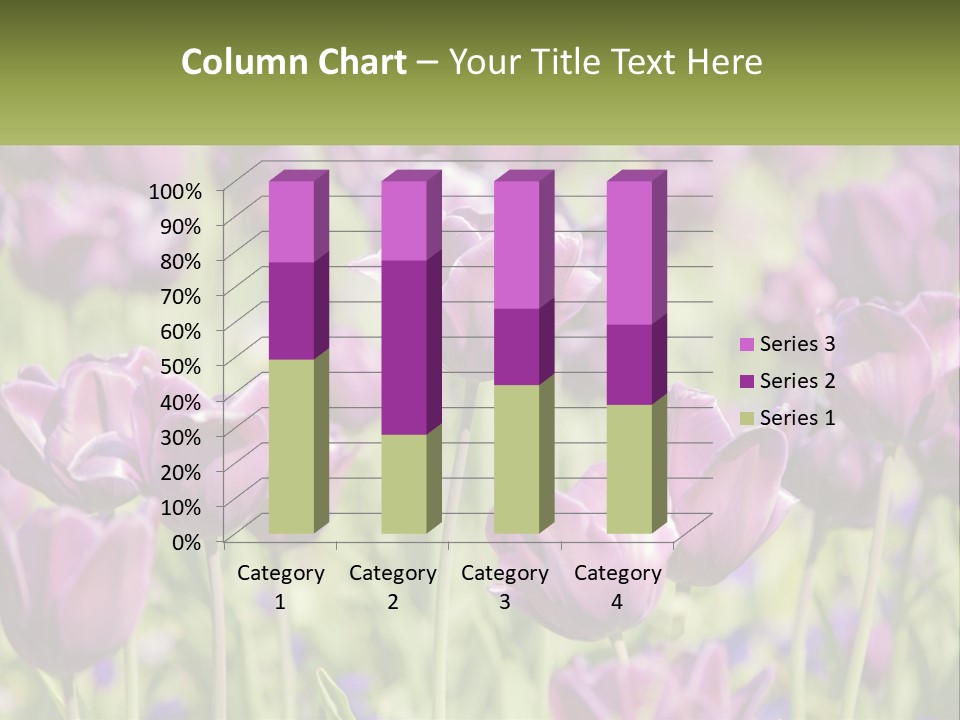 Flower Field Park PowerPoint Template