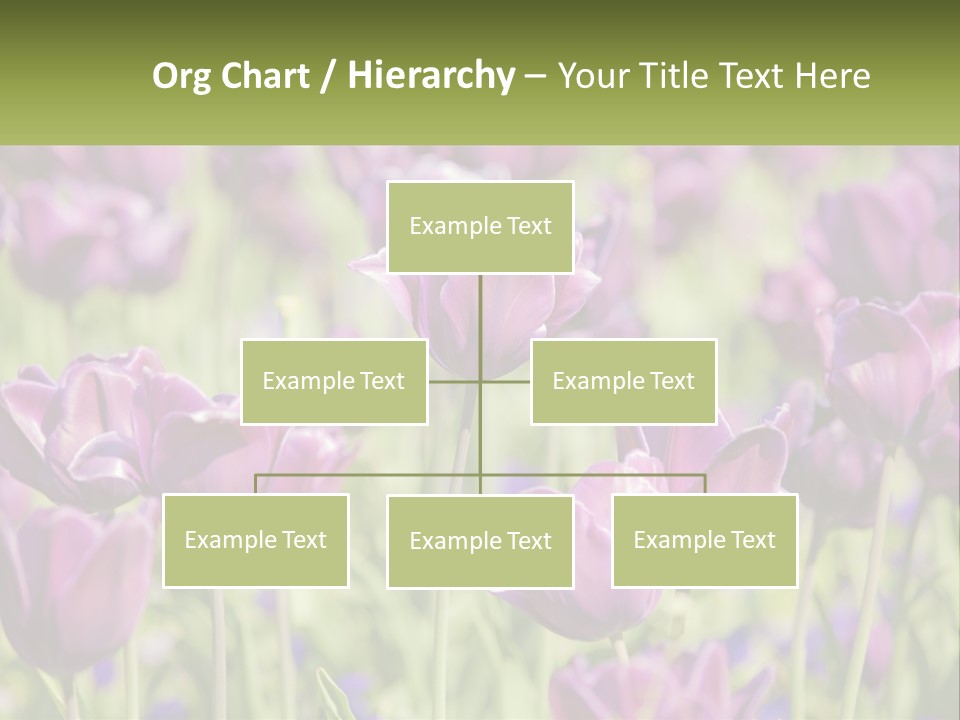 Flower Field Park PowerPoint Template
