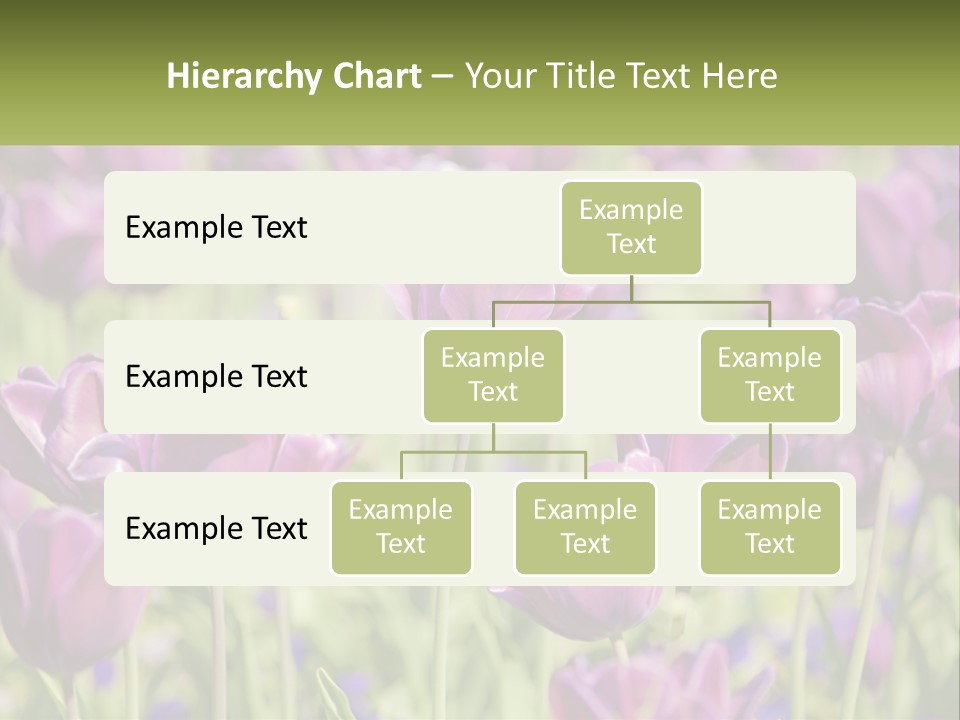 Flower Field Park PowerPoint Template