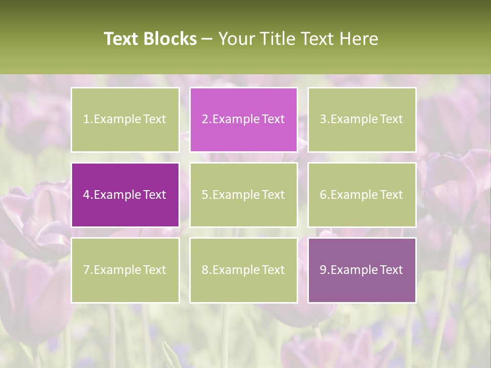 Flower Field Park PowerPoint Template