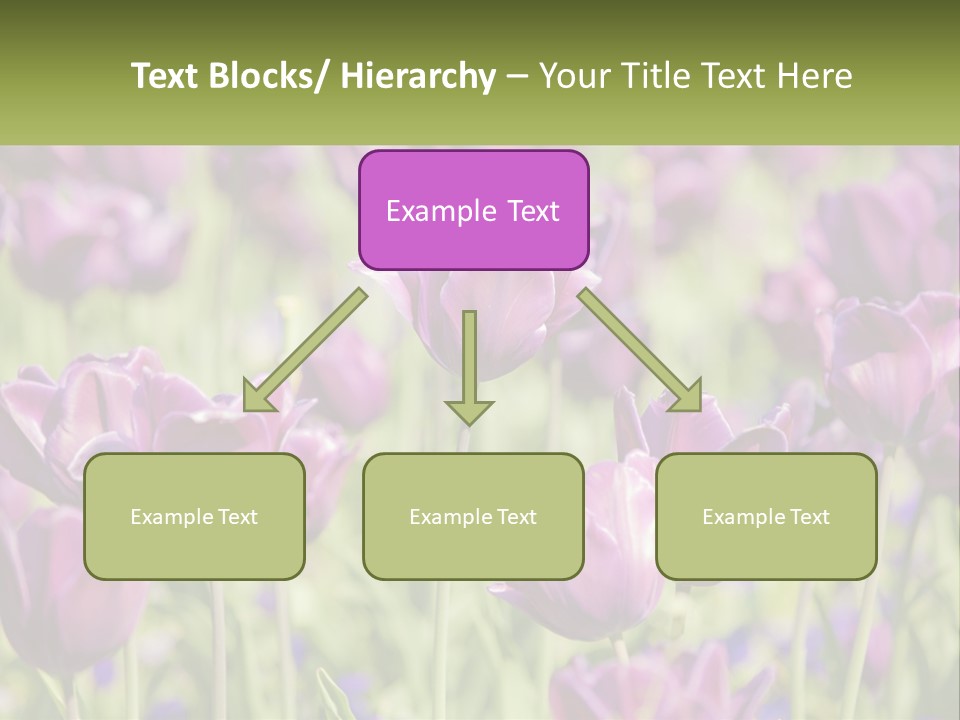 Flower Field Park PowerPoint Template