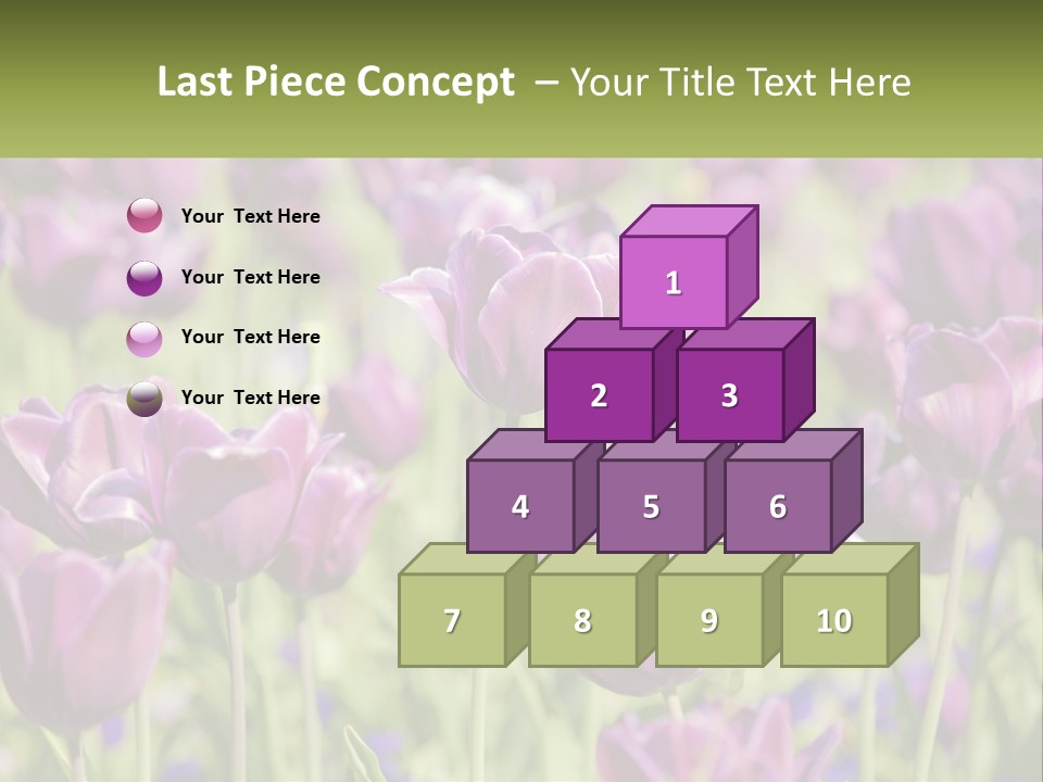 Flower Field Park PowerPoint Template