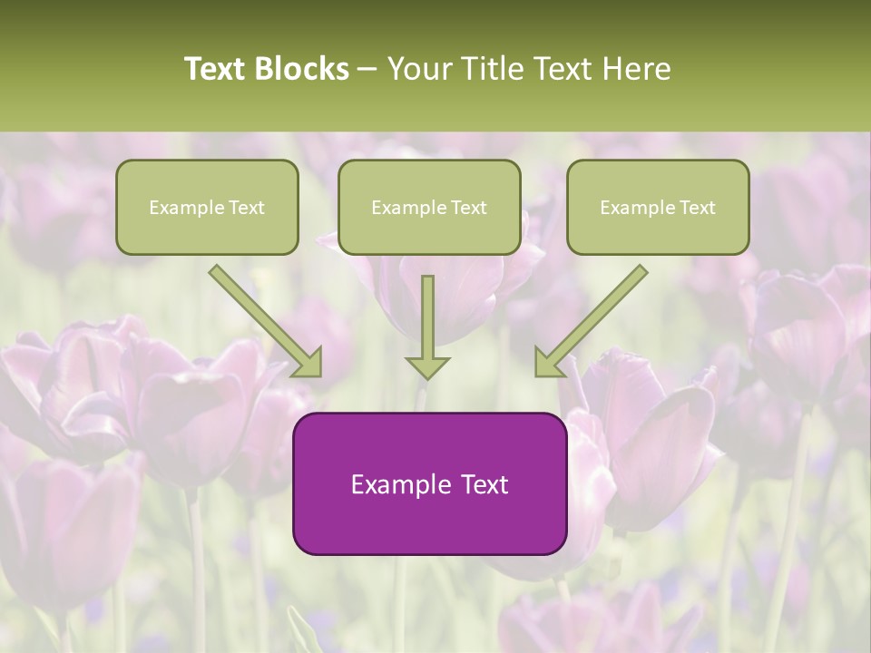 Flower Field Park PowerPoint Template