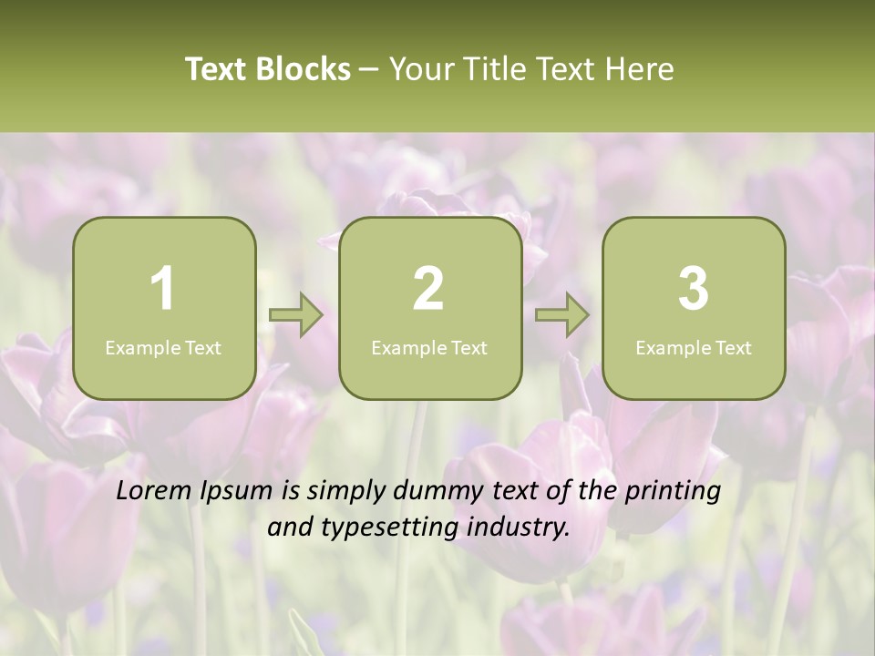 Flower Field Park PowerPoint Template