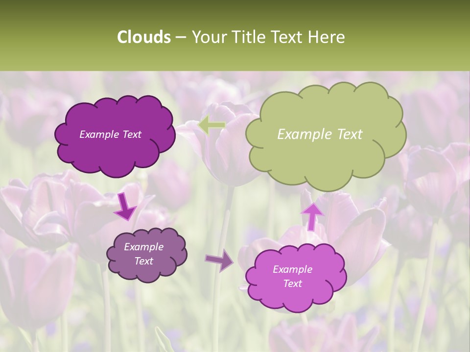 Flower Field Park PowerPoint Template