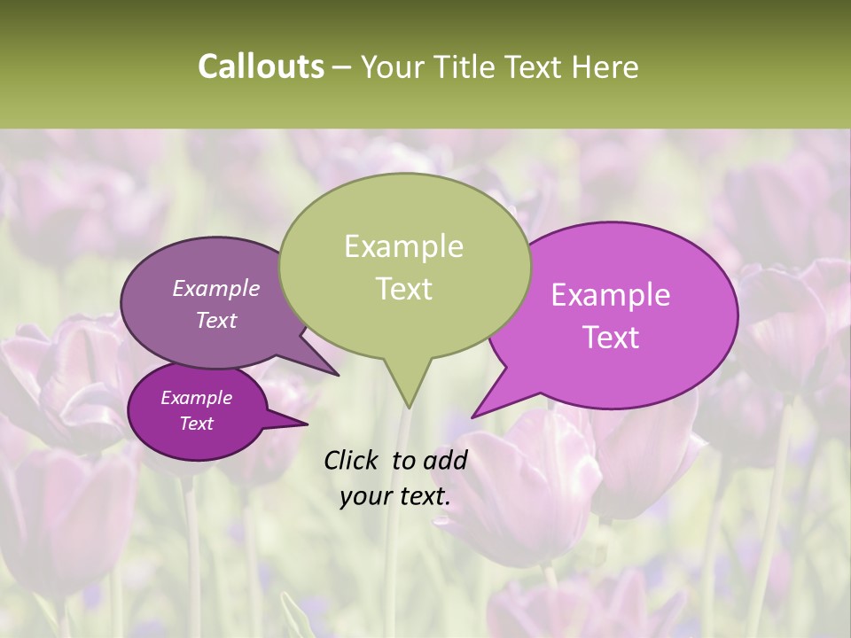 Flower Field Park PowerPoint Template