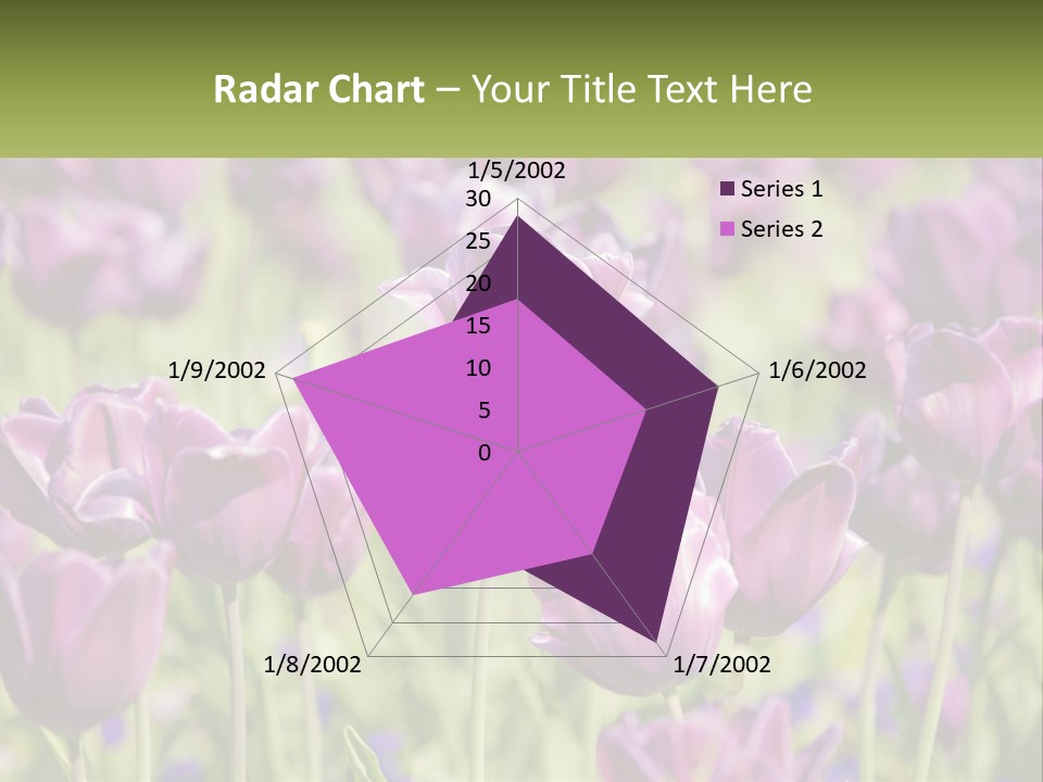 Flower Field Park PowerPoint Template
