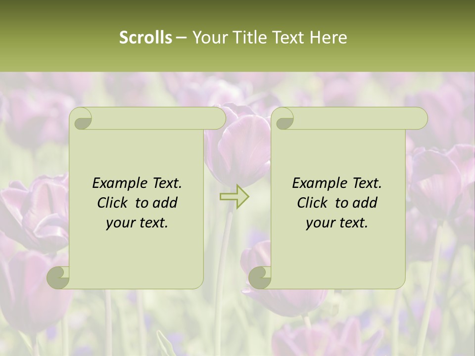 Flower Field Park PowerPoint Template