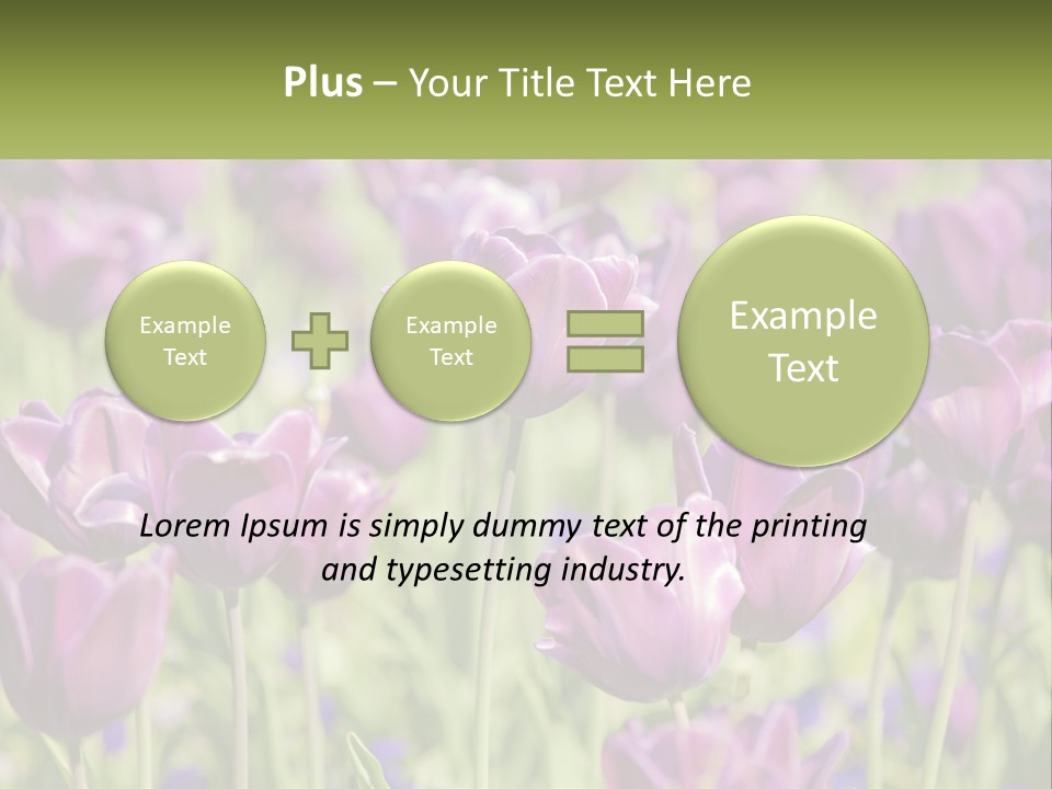 Flower Field Park PowerPoint Template