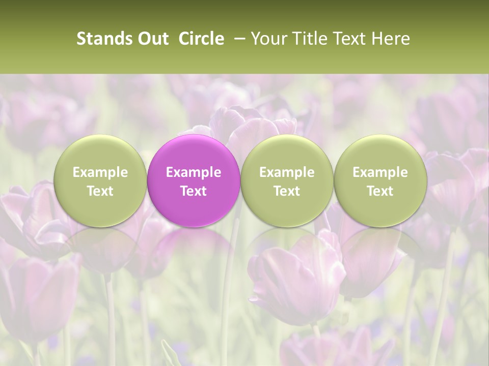 Flower Field Park PowerPoint Template