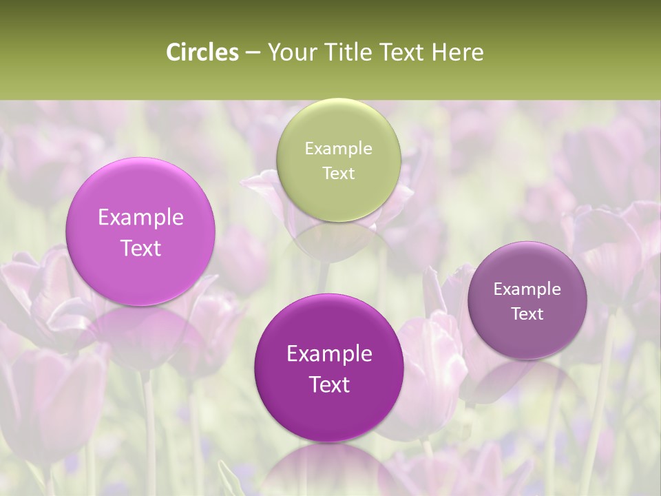 Flower Field Park PowerPoint Template