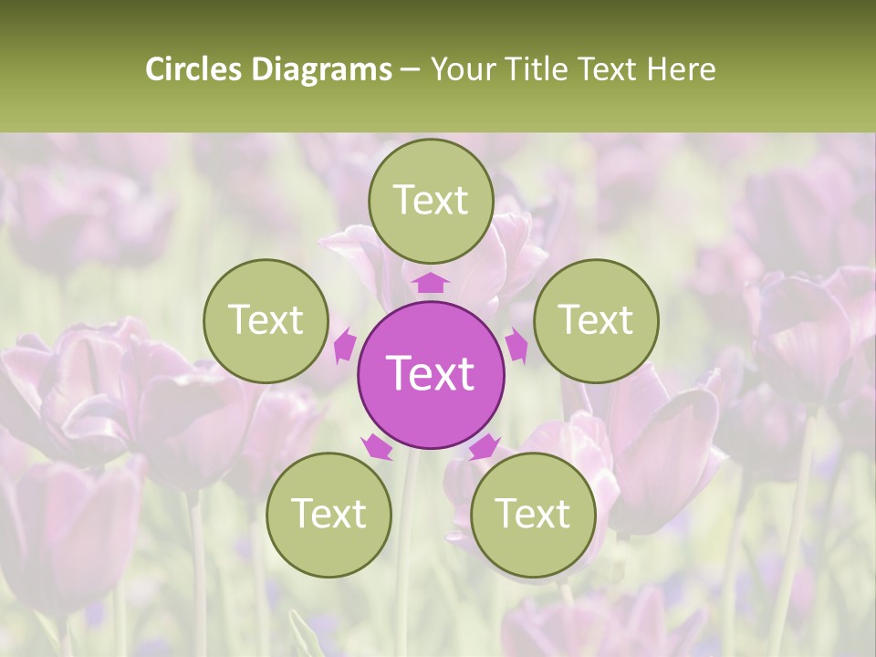 Flower Field Park PowerPoint Template