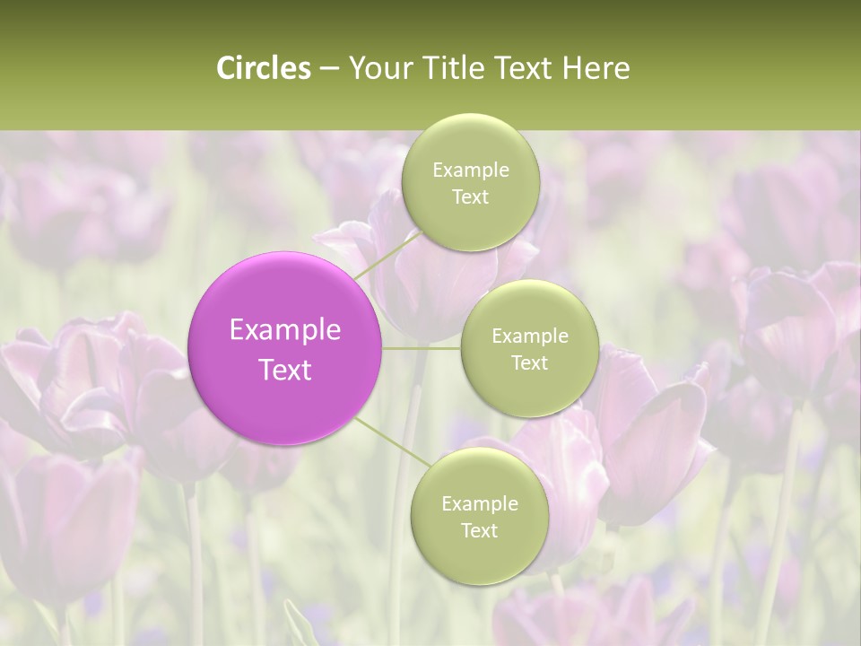 Flower Field Park PowerPoint Template