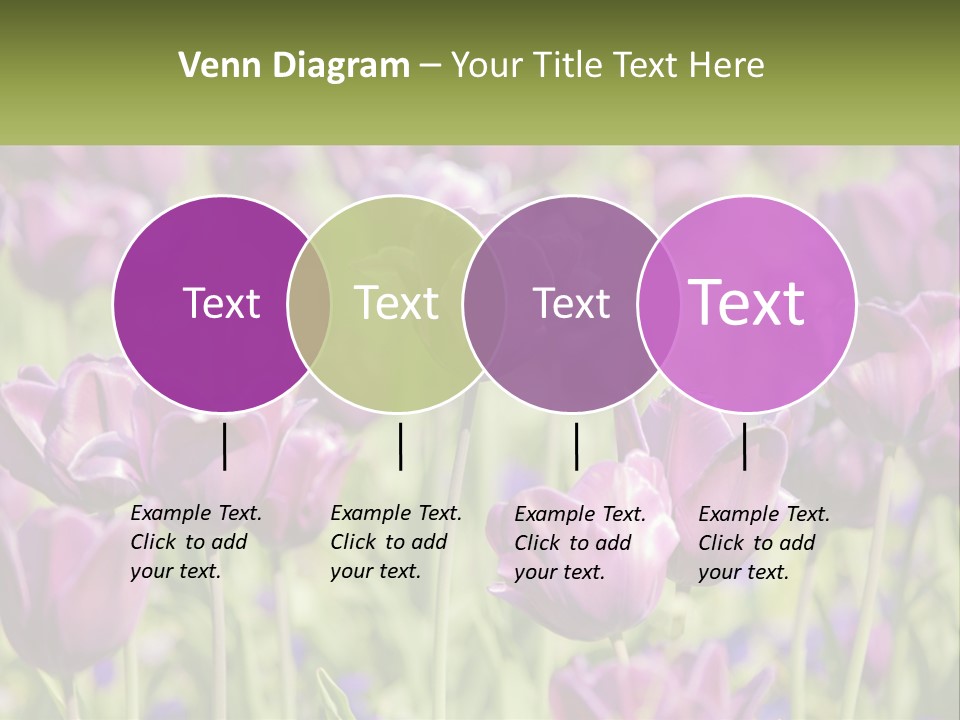 Flower Field Park PowerPoint Template