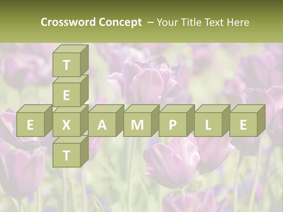 Flower Field Park PowerPoint Template