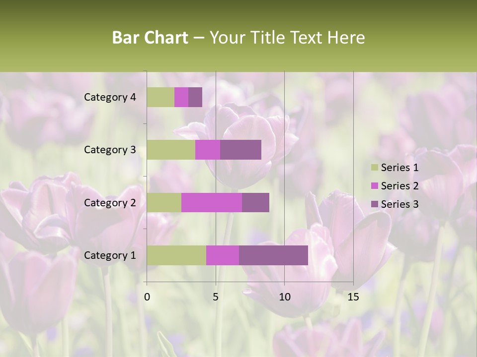 Flower Field Park PowerPoint Template