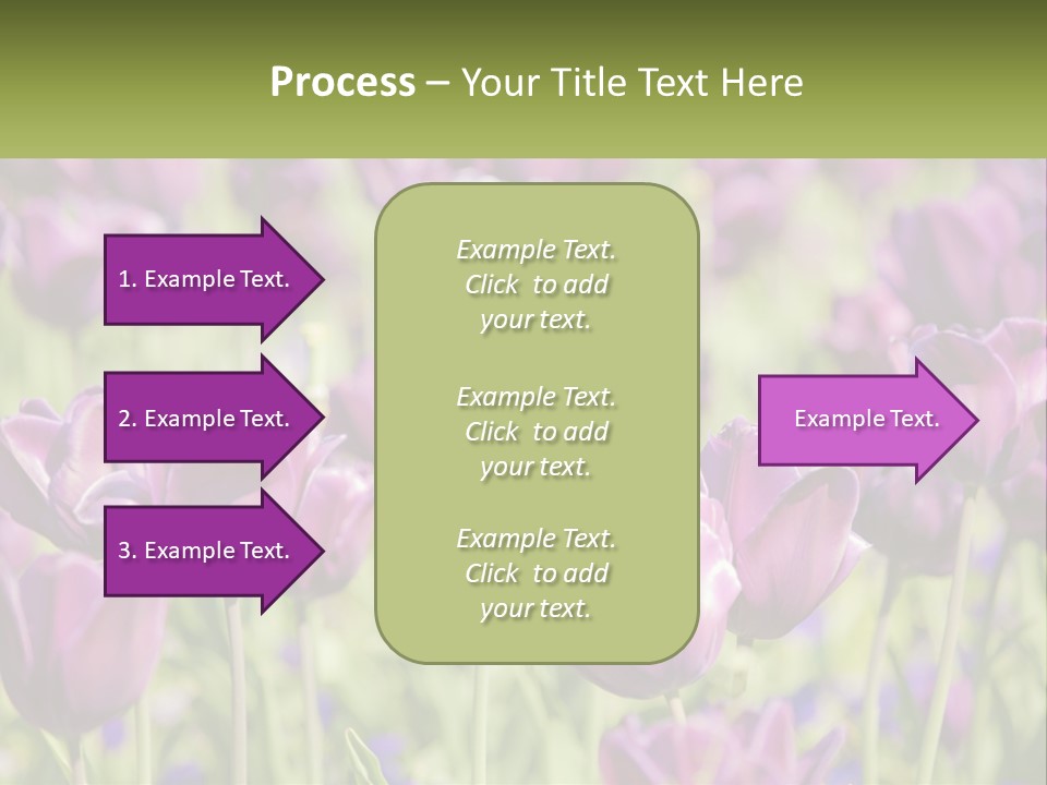 Flower Field Park PowerPoint Template
