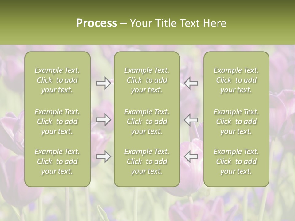 Flower Field Park PowerPoint Template