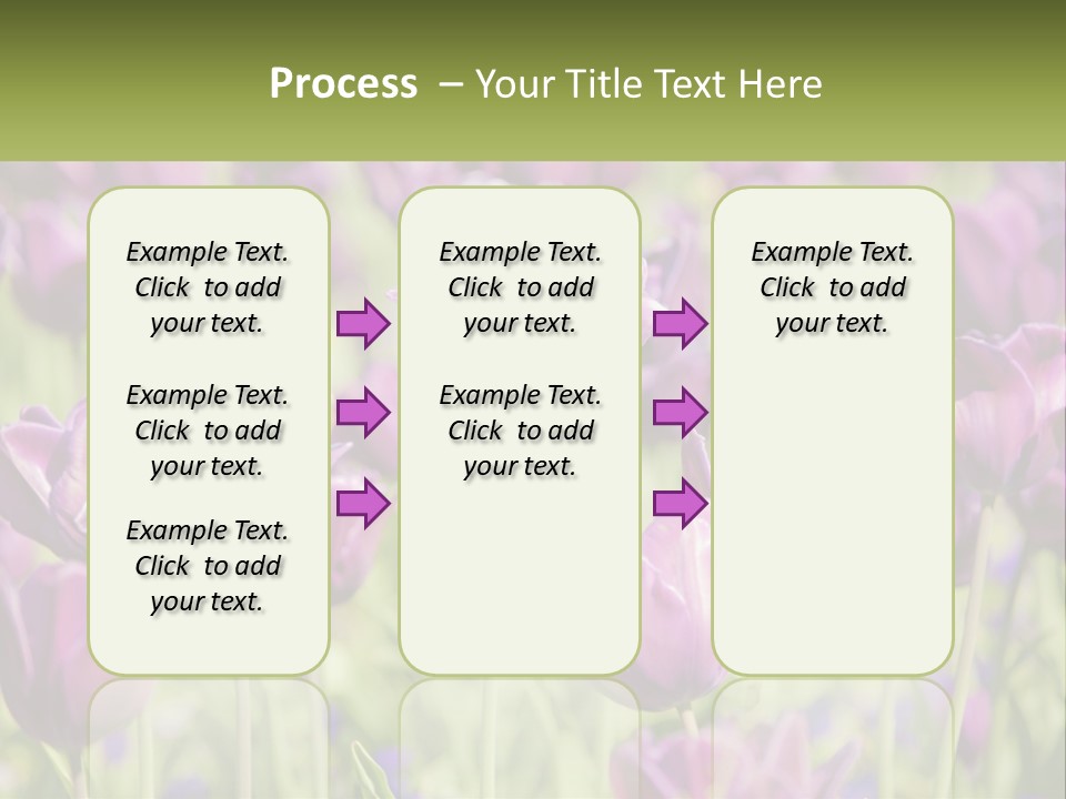 Flower Field Park PowerPoint Template