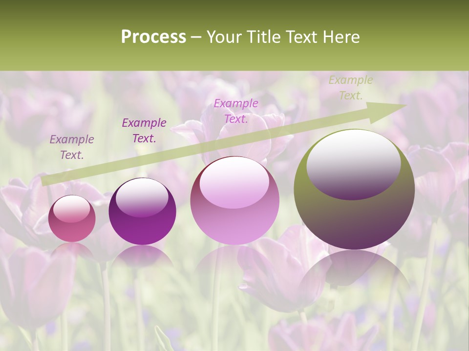 Flower Field Park PowerPoint Template