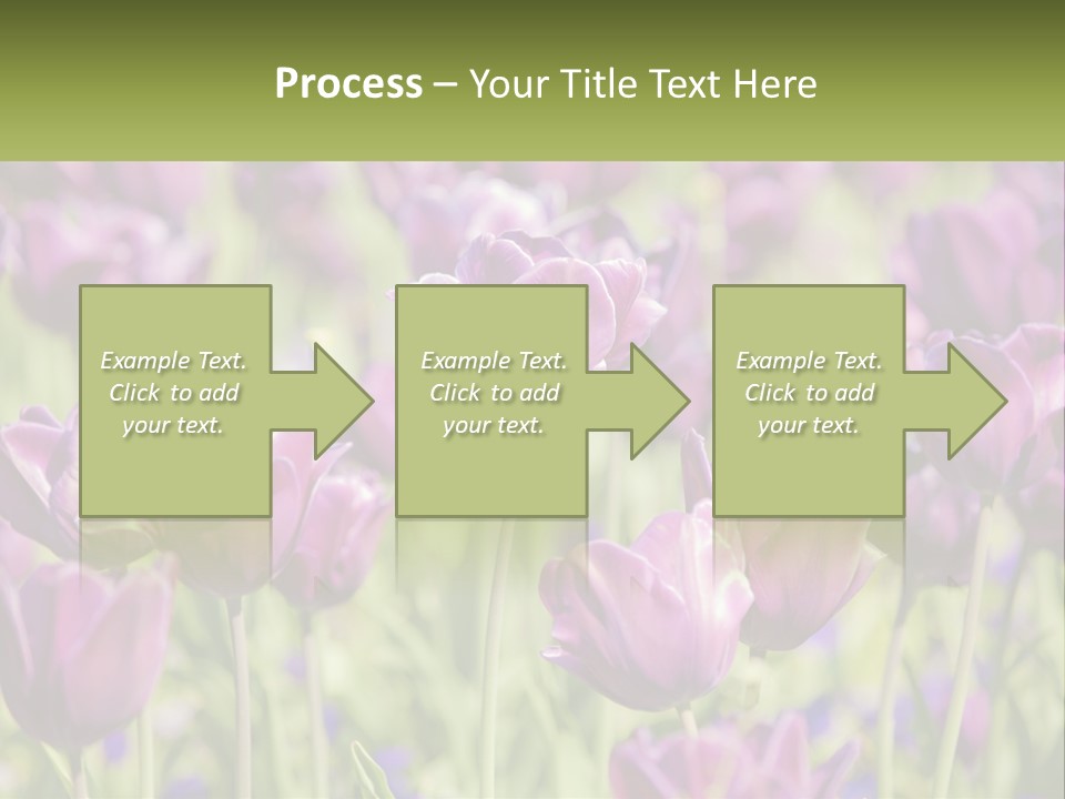 Flower Field Park PowerPoint Template