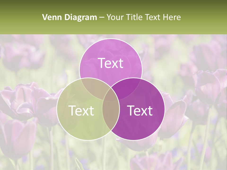 Flower Field Park PowerPoint Template