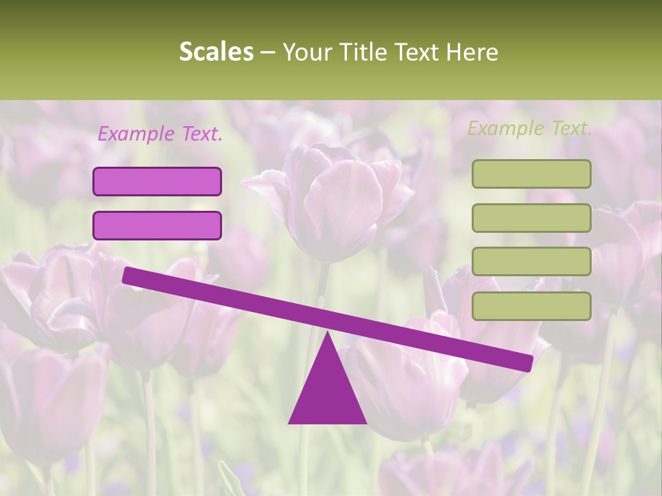 Flower Field Park PowerPoint Template