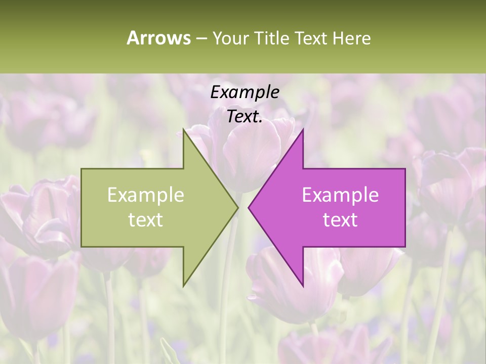 Flower Field Park PowerPoint Template