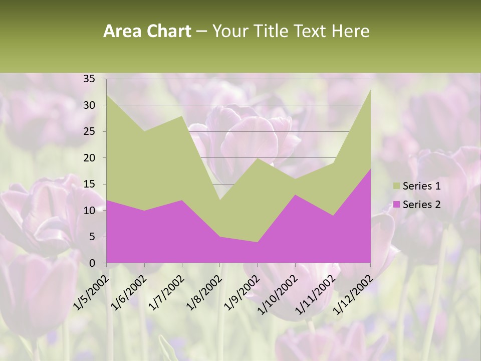 Flower Field Park PowerPoint Template