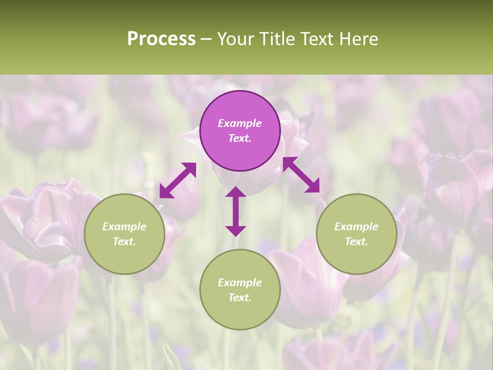 Flower Field Park PowerPoint Template