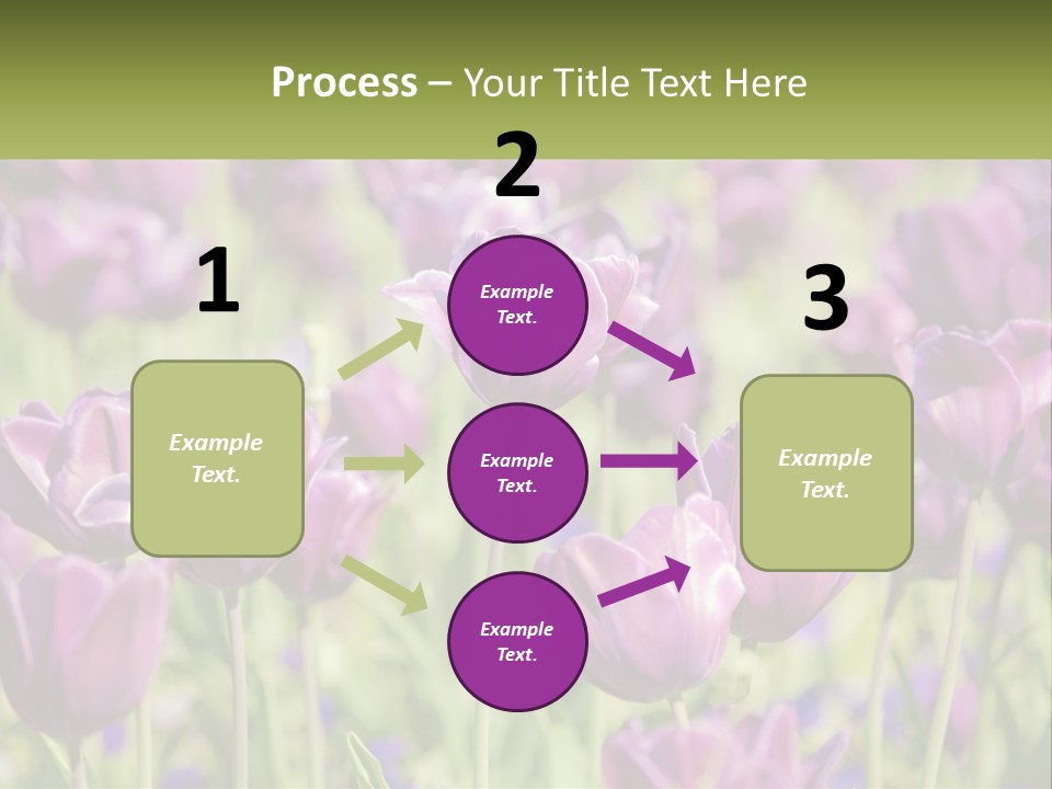 Flower Field Park PowerPoint Template