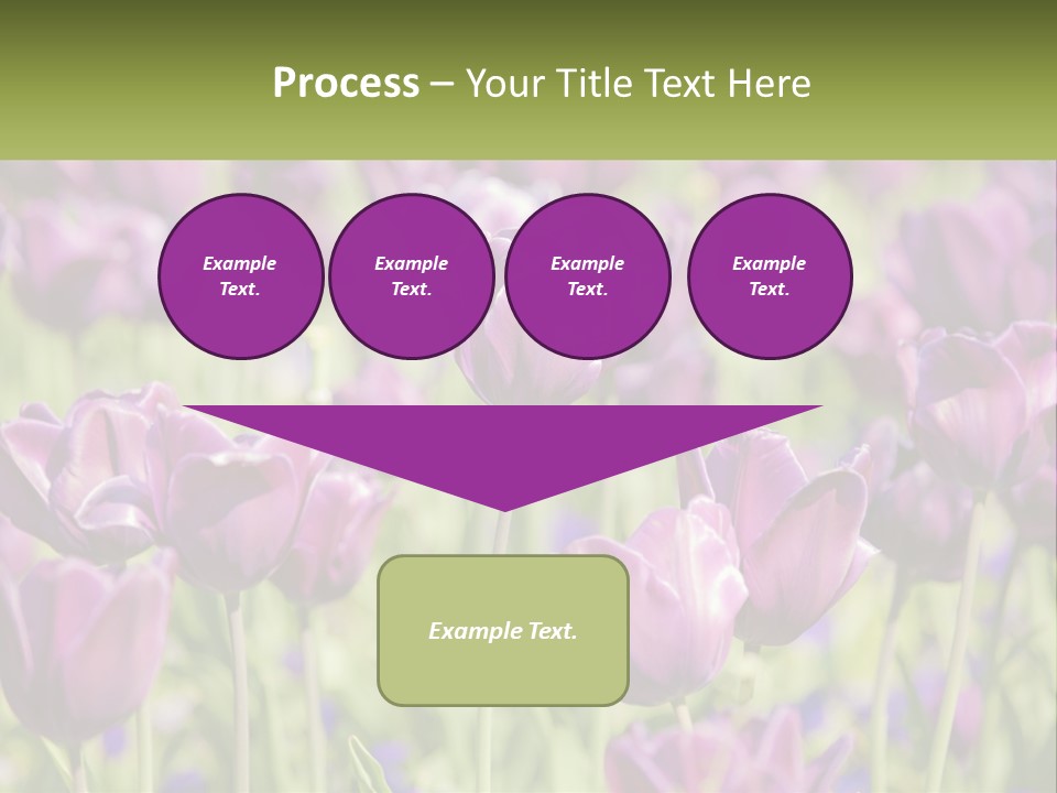 Flower Field Park PowerPoint Template