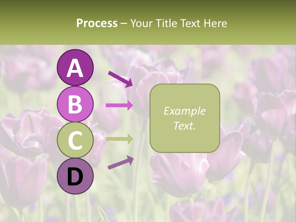 Flower Field Park PowerPoint Template