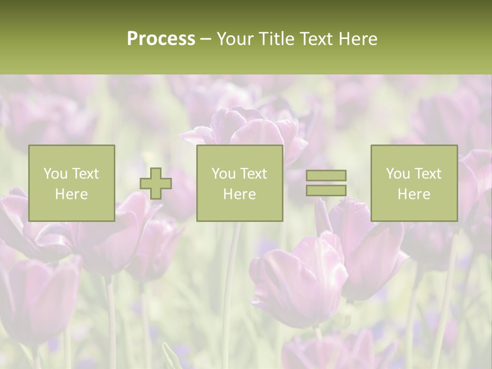Flower Field Park PowerPoint Template