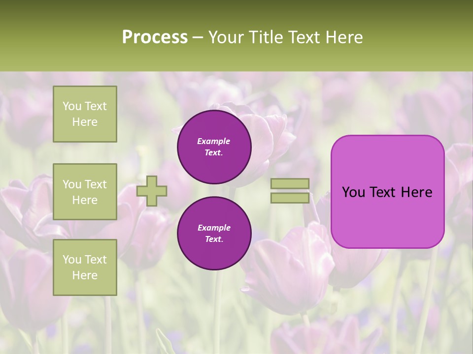 Flower Field Park PowerPoint Template