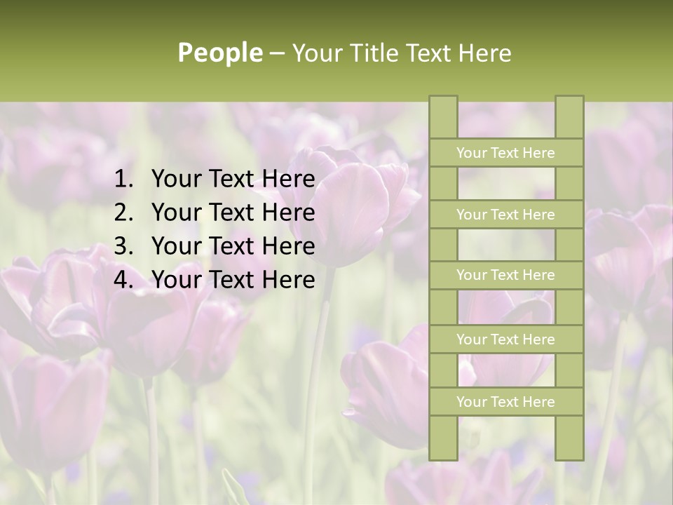 Flower Field Park PowerPoint Template