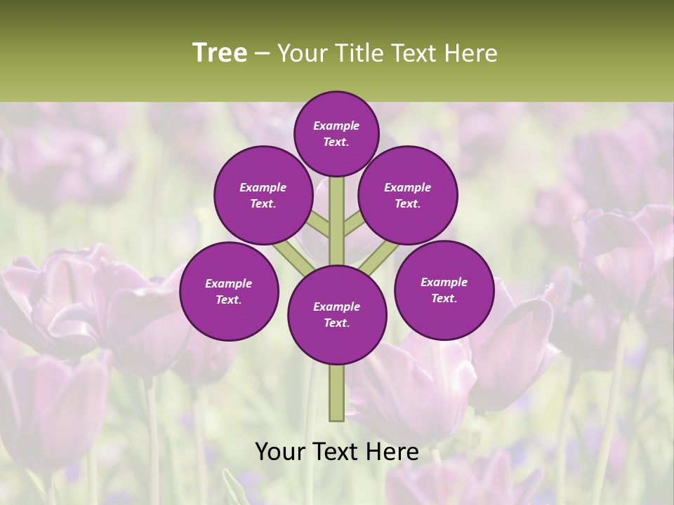 Flower Field Park PowerPoint Template